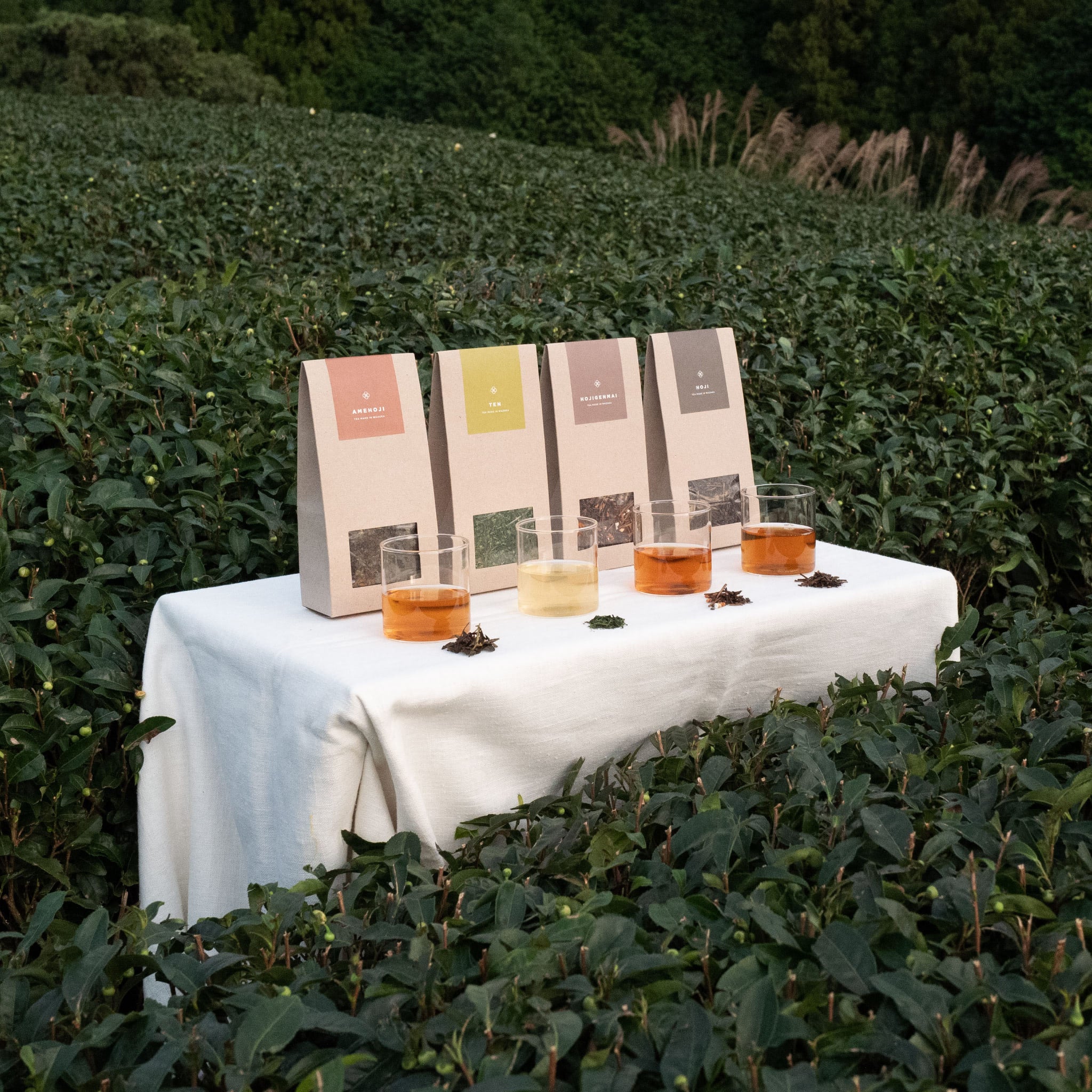 Tea