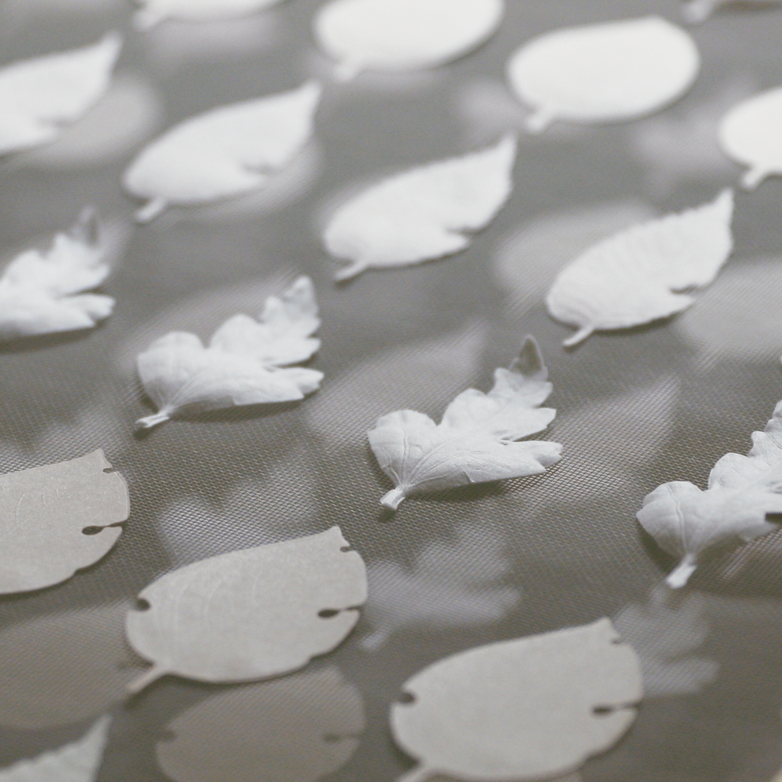 Leaf Incense - Hinoki