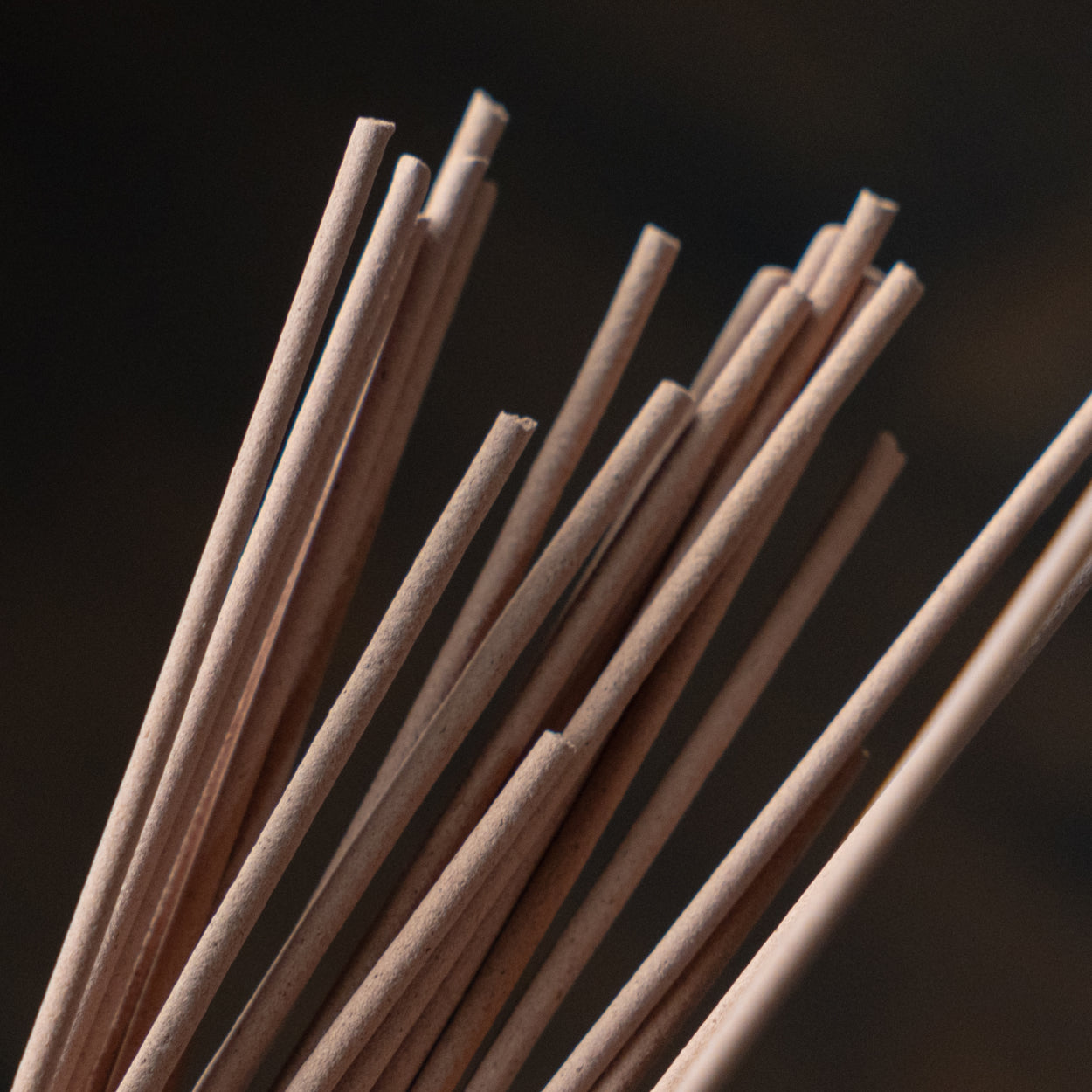 Sen Incense - Kinmokusei