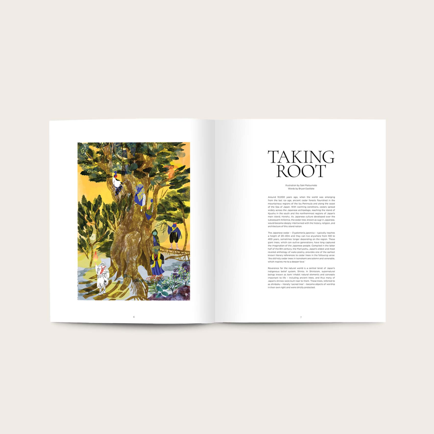 Storied #3 - The Cedar Issue