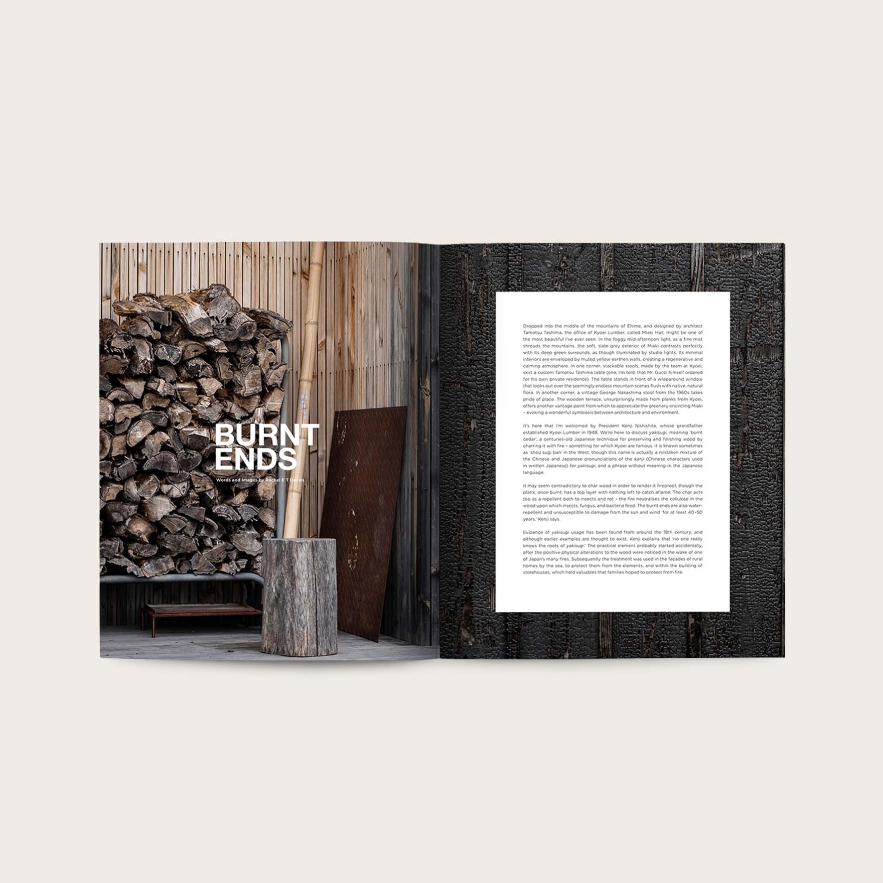 Storied #3 - The Cedar Issue