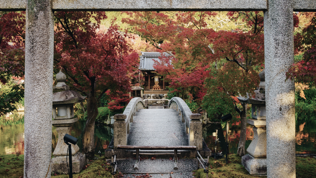 Our "Autumn in Kyoto" Itinerary