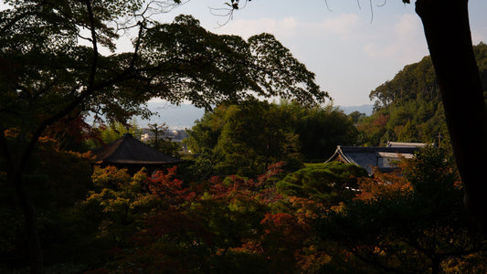 Our “Autumn in Kyoto” itinerary