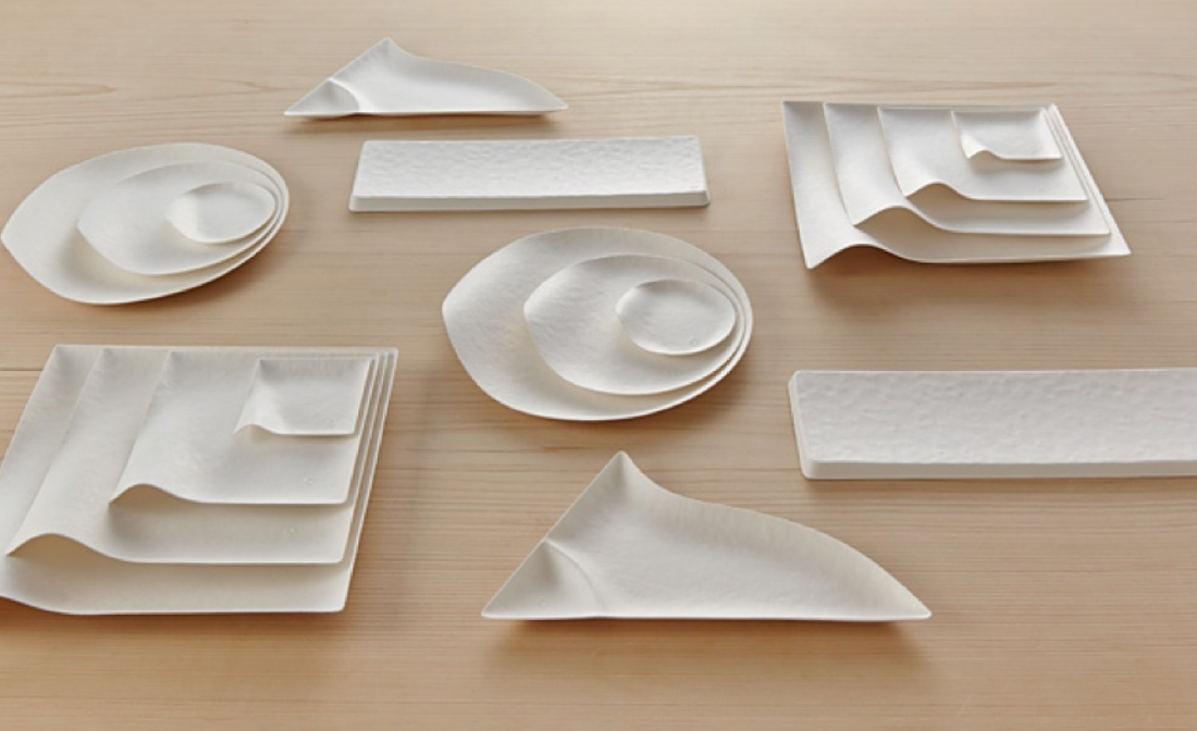 Biodegradable Paper Plates For Parties