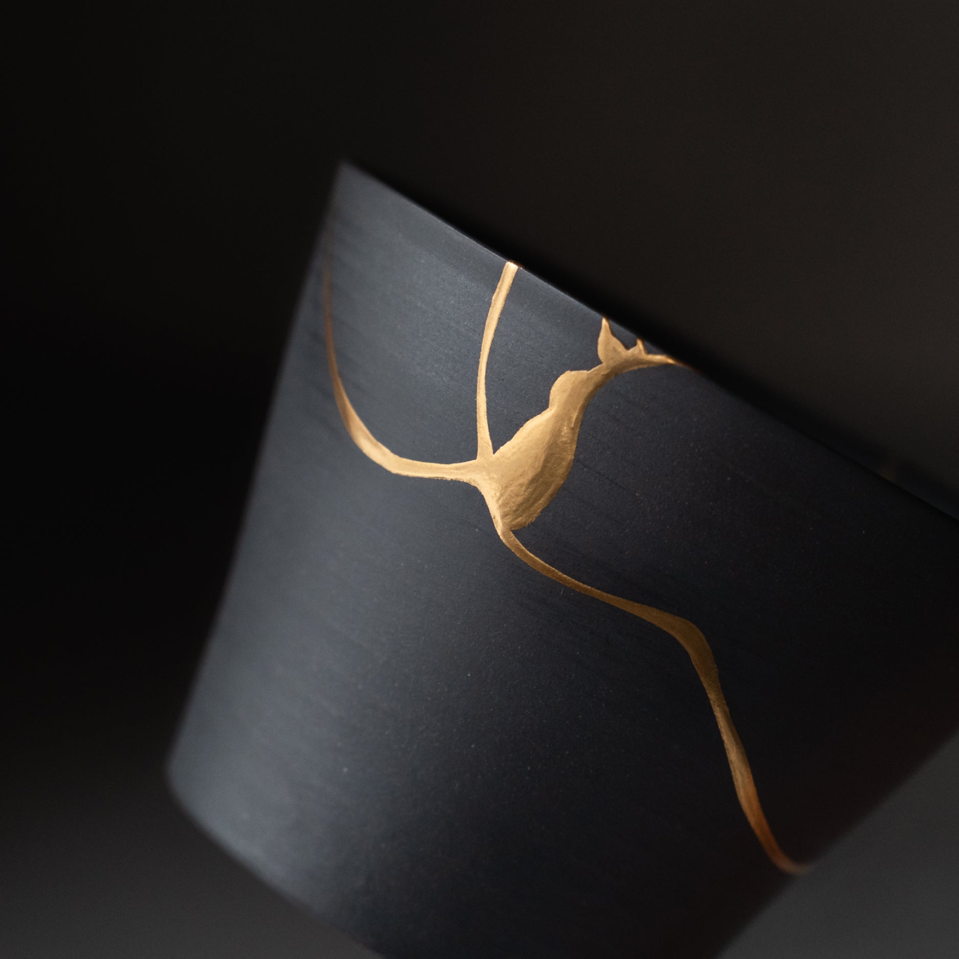 Kintsugi Repair Collection