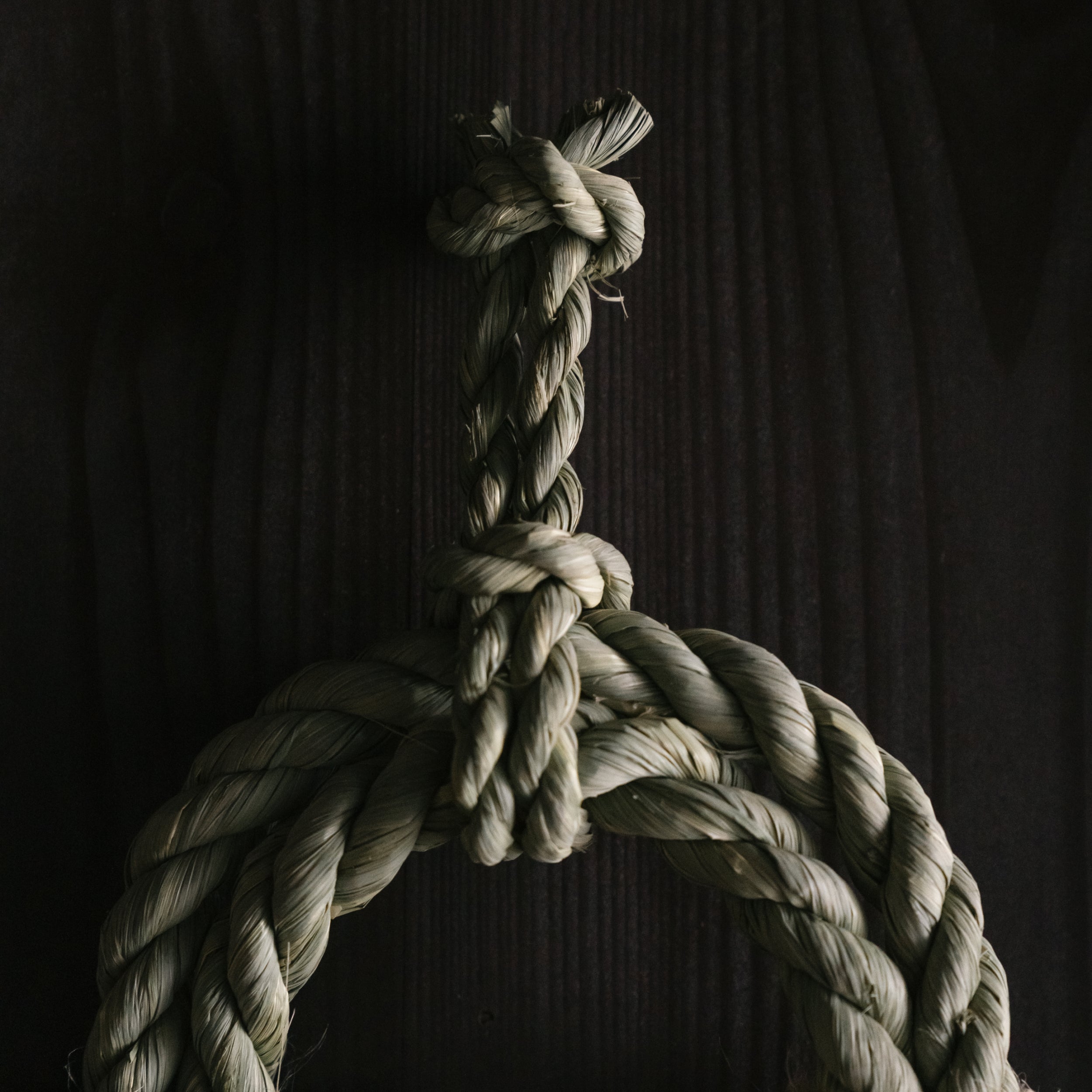 Warazaiku - Yudasuki