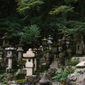 Stone Tsukubai Planter